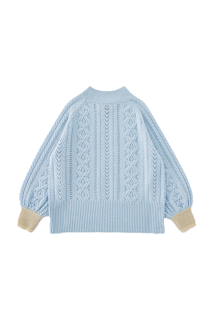Aleger Cashmere Balloon Sleeve Turtle Neck Sweater in Light Blue - Arielle Clothing